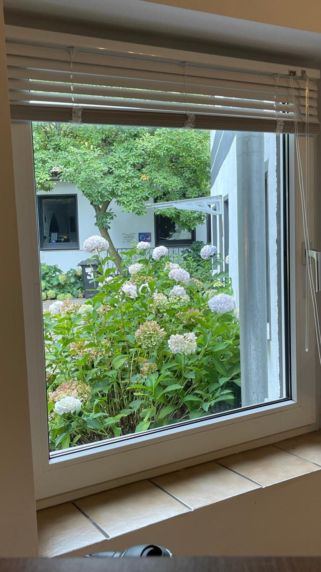 Oase Im Gruenen Hinterhof, Eg, Ruhe, Terrasse, Carport, Free Paytv, Kaffee&Tee, Fahrraeder Apartman Duisburg Kültér fotó